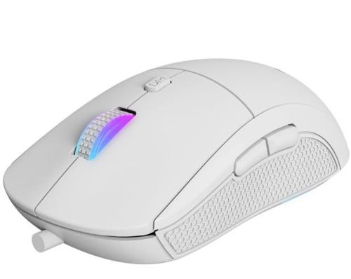 GAMEBOOSTER M11 Dire RGB Aydınlatmalı Beyaz Profesyonel Gaming Mouse